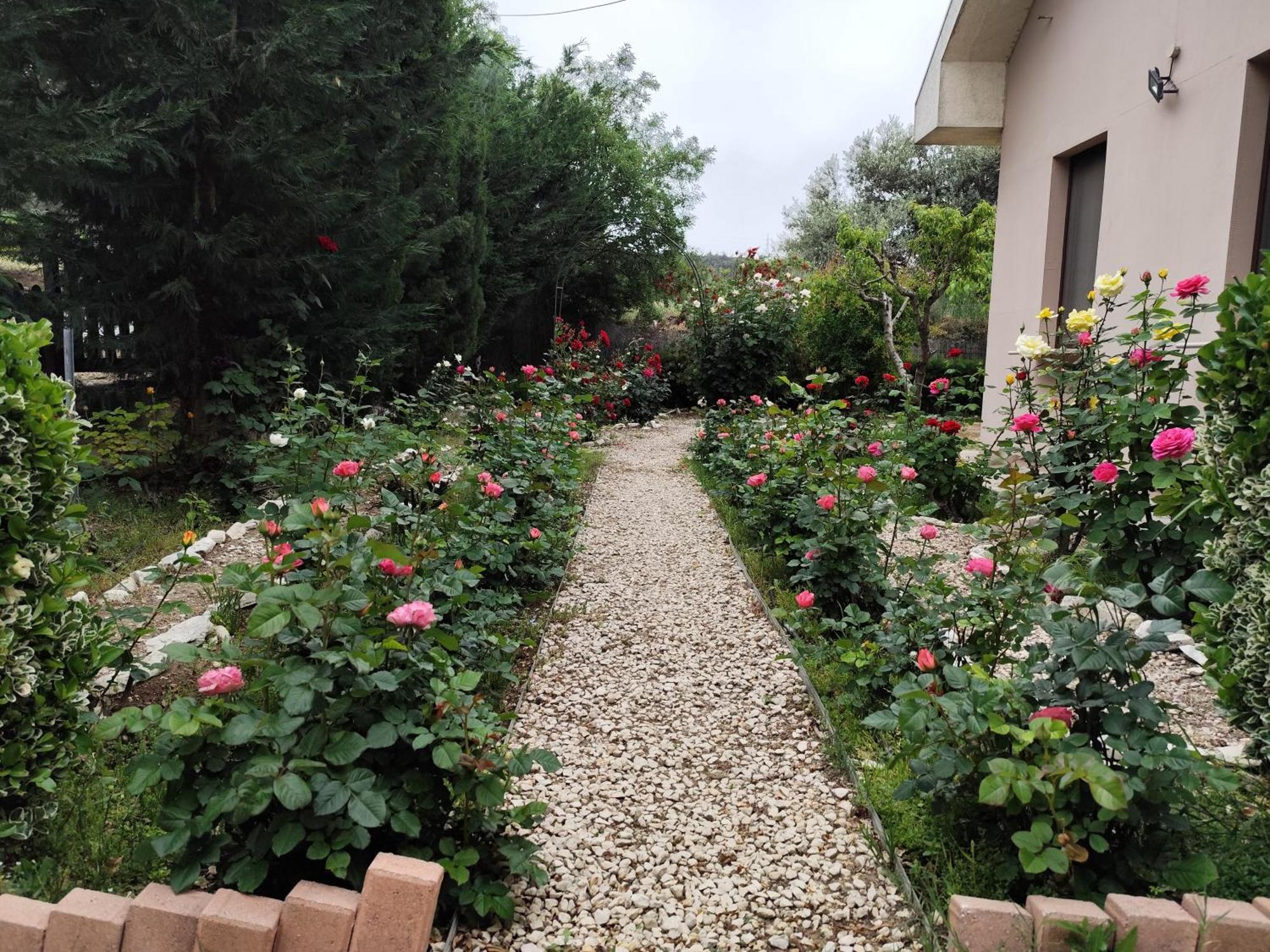 Roses Villa Trimiklini Exteriör bild